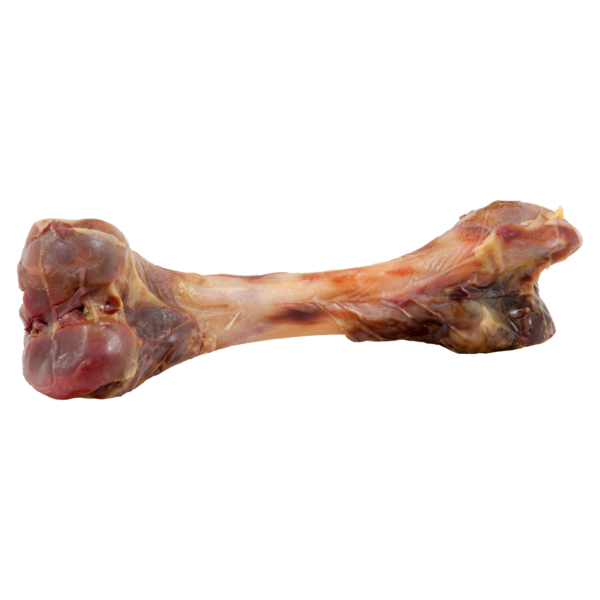 alpha spirit Dog Serrano Schinkenknochen ganz vac.