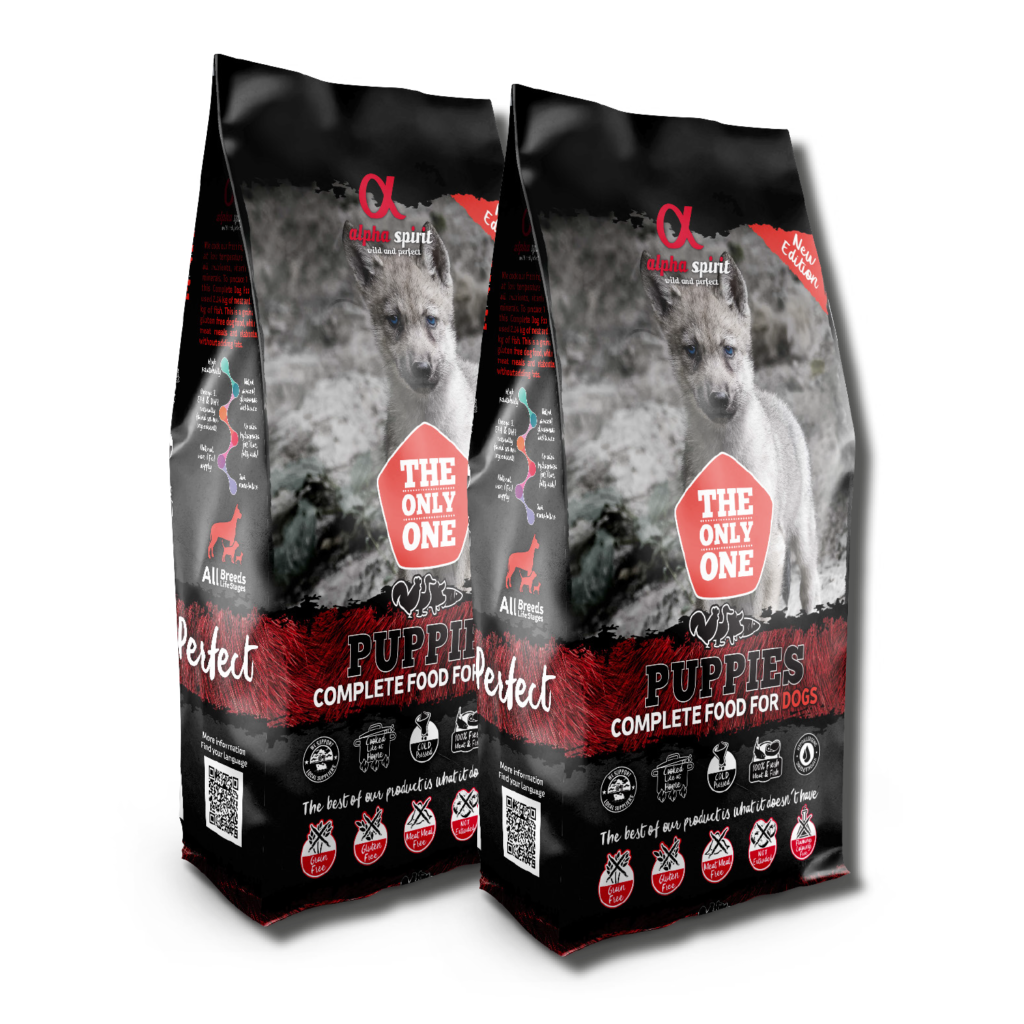alpha spirit Dog The Only One Puppies » Jetzt kaufen!